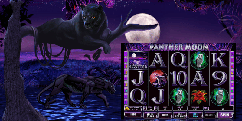 Panther Moon Slot Game Unbiased Review & Winning Secrets